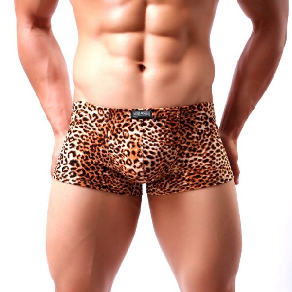 Leopard Printed Underwear Boxer